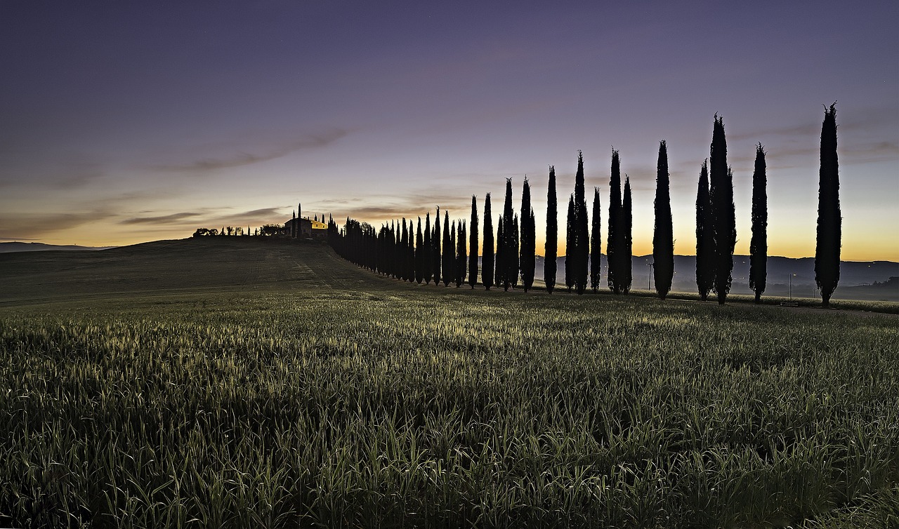 Esplorazione della Toscana: Vini, Paesaggi e Storia